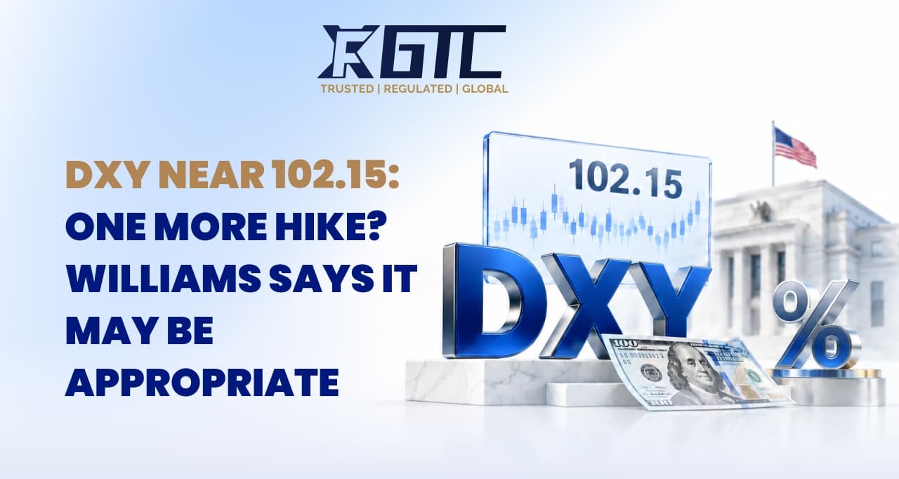 DXY NEAR 102.15: ONE MORE HIKE? WILLIAMS SAYS IT MAY BE APPROPRIATE